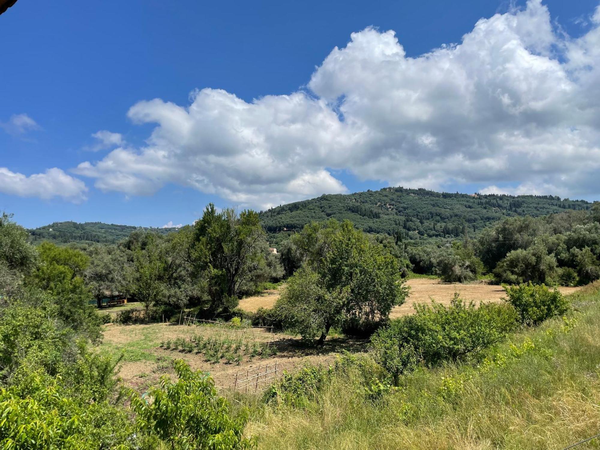 Villa Katerina Agios Georgios Pagon Pokój zdjęcie